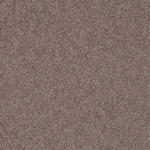 Dreamweaver Carpet Spectrum I Rumors Carpet 5660_5102