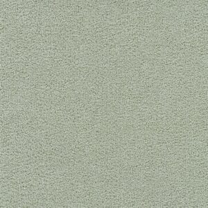 Dreamweaver Carpet Spectrum I Avocado Carpet 5660_5276