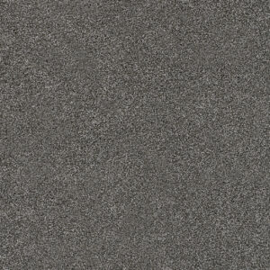 Dreamweaver Carpet Spectrum II Lagoon Carpet 5675_5350