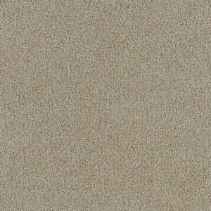 Dreamweaver Carpet Spectrum III Cream Carpet 5690_580
