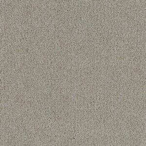 Dreamweaver Carpet Spectrum I Meadowdale Carpet 5660_768