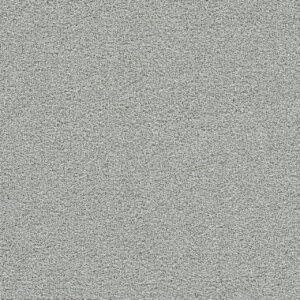 Dreamweaver Carpet Spectrum II Slumber Carpet 5675_926