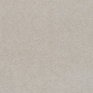 Dreamweaver Carpet Spectrum III Blank Canvas Carpet 5690_944
