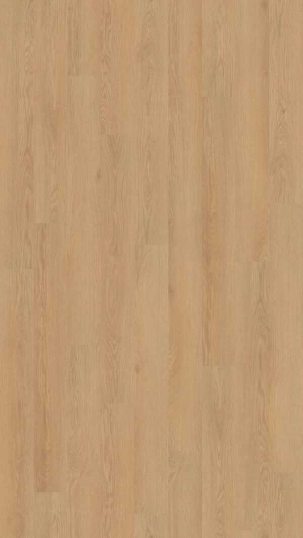 Mainstreet Commercial HS Vinyl Willow Oak 20m Golden Oak 01229_5715V - Image 2