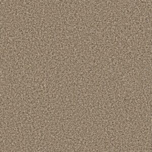 Shaw Floors Carpet Break Away (B) Burlap 00110_5E242