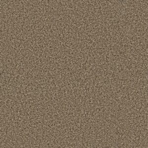 Shaw Floors Carpet Break Away (B) Safari 00112_5E242