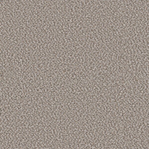 Shaw Floors Carpet Break Away (B) Canvas 00130_5E242