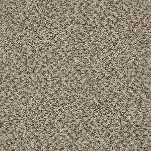 Shaw Floors Carpet Break Away (B) Sugar Cookie 00132_5E242