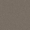 Shaw Floors Carpet Break Away (B) Boulder 00501_5E242