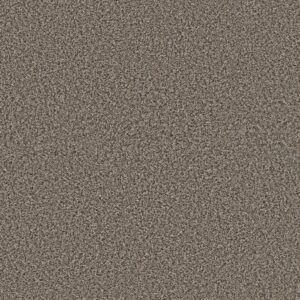 Shaw Floors Carpet Break Away (B) Boulder 00501_5E242