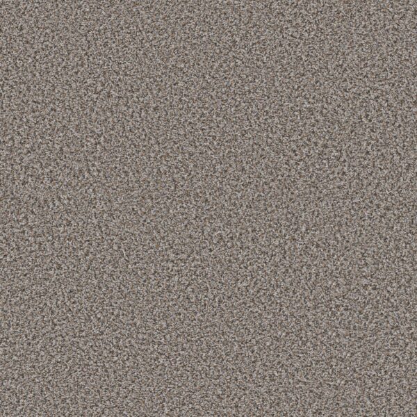 Shaw Floors Carpet Break Away (B) Fossil 00531_5E242