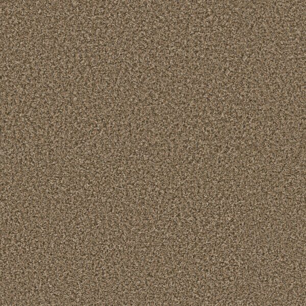 Shaw Floors Carpet Break Away (B) Desert 00711_5E242