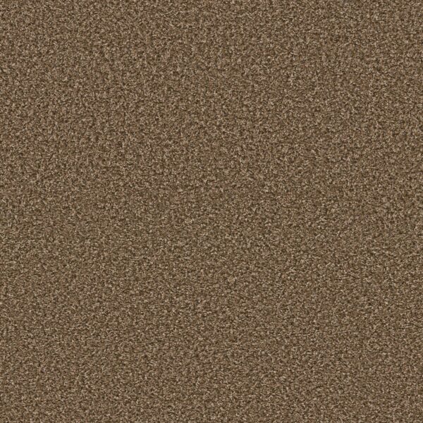 Shaw Floors Carpet Break Away (B) Good Earth 00712_5E242