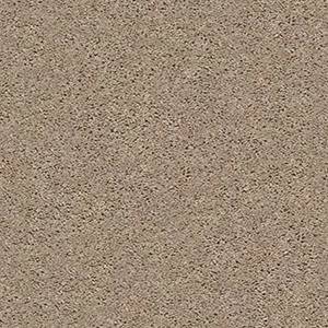 Shaw Floors Carpet Break Away (S) Wheat Field 00102_5E243