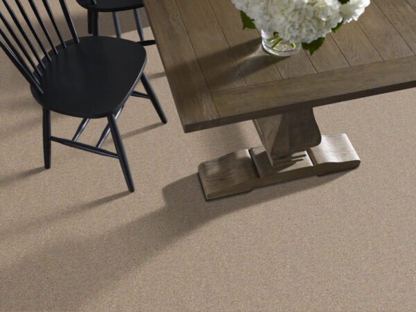 Shaw Floors Carpet Break Away (S) Wheat Field 00102_5E243 - Image 2