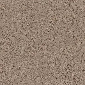 Shaw Floors Carpet Break Away (S) Warm Sand 00106_5E243