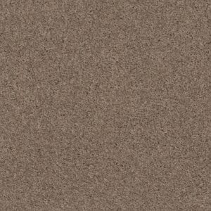 Shaw Floors Carpet Break Away (S) Natural Tan 00700_5E243