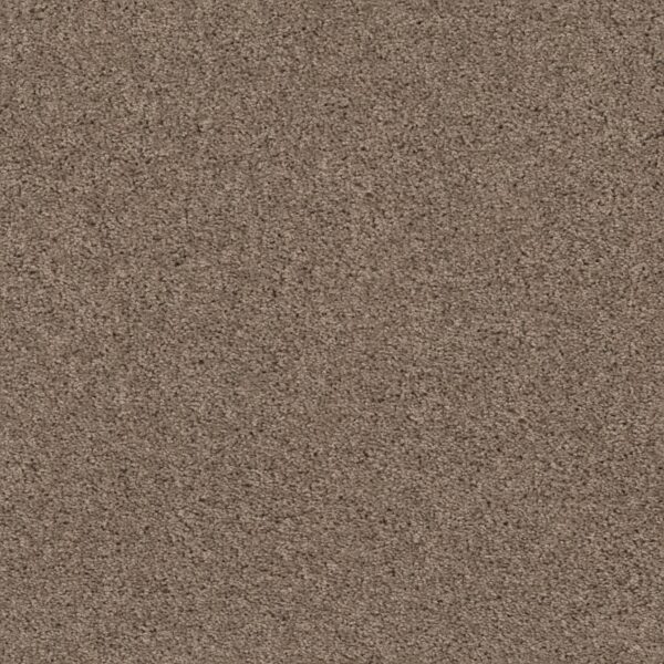 Shaw Floors Carpet Break Away (S) Natural Tan 00700_5E243
