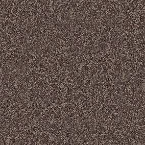 Shaw Floors Carpet Break Away (S) Mocha 00704_5E243