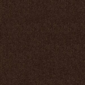 Shaw Floors Carpet Break Away (S) Coffee Bean 00705_5E243