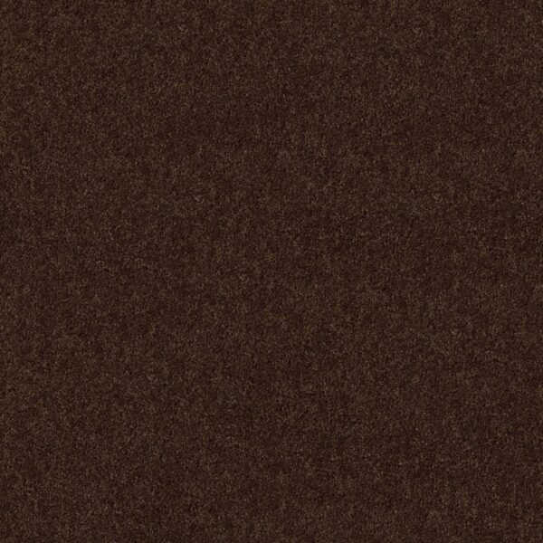 Shaw Floors Carpet Break Away (S) Coffee Bean 00705_5E243