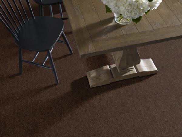 Shaw Floors Carpet Break Away (S) Coffee Bean 00705_5E243 - Image 2