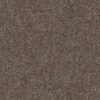 Shaw Floors Carpet Break Away (S) Weathered Wood 00710_5E243