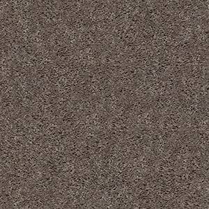 Shaw Floors Carpet Break Away (S) Weathered Wood 00710_5E243