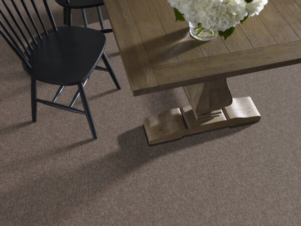 Shaw Floors Carpet Break Away (S) Weathered Wood 00710_5E243 - Image 2