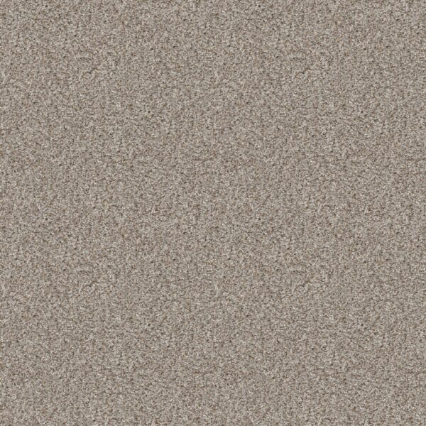 Shaw Floors Carpet Break Away (T) Buff 00110_5E244