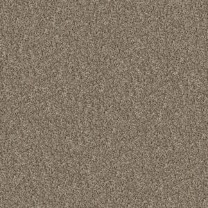 Shaw Floors Carpet Break Away (T) Almond 00111_5E244