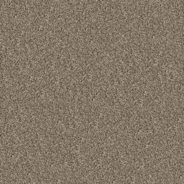 Shaw Floors Carpet Break Away (T) Almond 00111_5E244