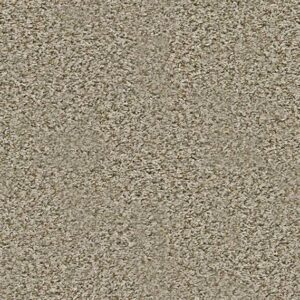 Shaw Floors Carpet Break Away (T) Flax 00112_5E244