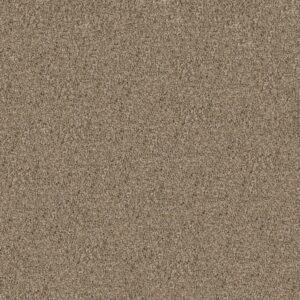 Shaw Floors Carpet Break Away (T) Blond Wood 00113_5E244