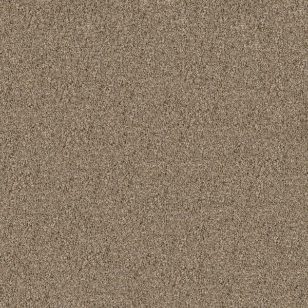 Shaw Floors Carpet Break Away (T) Blond Wood 00113_5E244