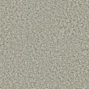 Shaw Floors Carpet Break Away (T) Snow Peak 00120_5E244