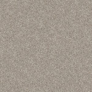 Shaw Floors Carpet Break Away (T) Natural Ivory 00122_5E244