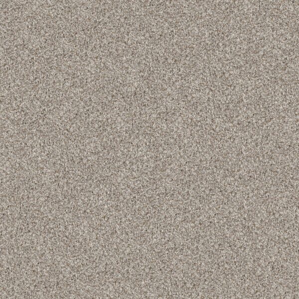 Shaw Floors Carpet Break Away (T) Natural Ivory 00122_5E244