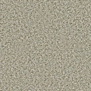 Shaw Floors Carpet Break Away (T) Stepping Stone 00123_5E244