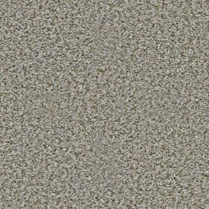 Shaw Floors Carpet Break Away (T) Exposed Beam 00510_5E244