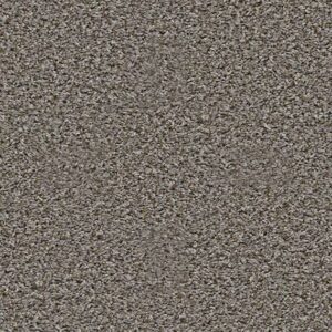 Shaw Floors Carpet Break Away (T) Washed Suede 00511_5E244