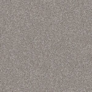 Shaw Floors Carpet Break Away (T) Chrome 00520_5E244