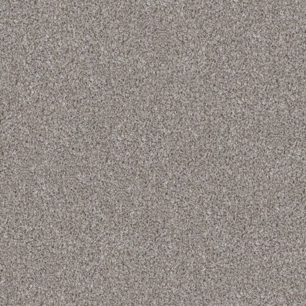 Shaw Floors Carpet Break Away (T) Chrome 00520_5E244