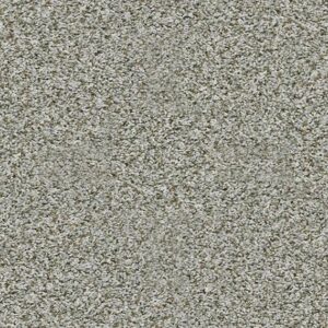 Shaw Floors Carpet Break Away (T) Windy City 00521_5E244
