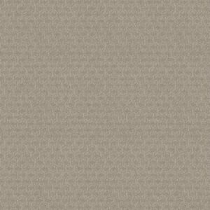 Shaw Floors Carpet Valid Twine 00108_5E323