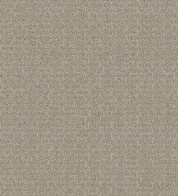 Shaw Floors Carpet Valid Twine 00108_5E323