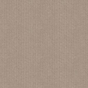 Shaw Floors Carpet Valid Shadow 00109_5E323