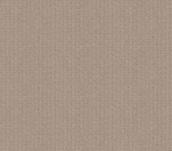 Shaw Floors Carpet Valid Shadow 00109_5E323