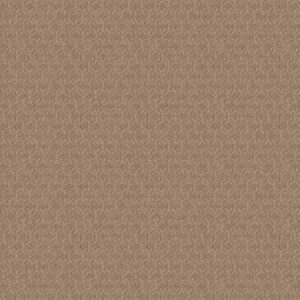 Shaw Floors Carpet Valid Toast 00110_5E323
