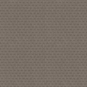 Shaw Floors Carpet Valid Iced Mocha 00505_5E323
